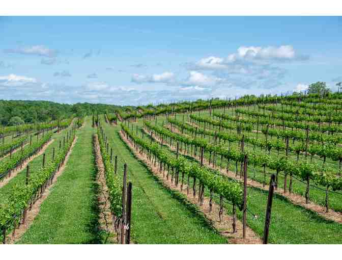 Bordeaux & Cognac Revealed - Photo 2