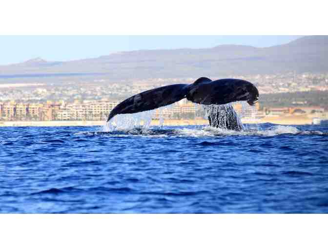 Choose Your 4-Night All-Inclusive Getaway - Photo 4