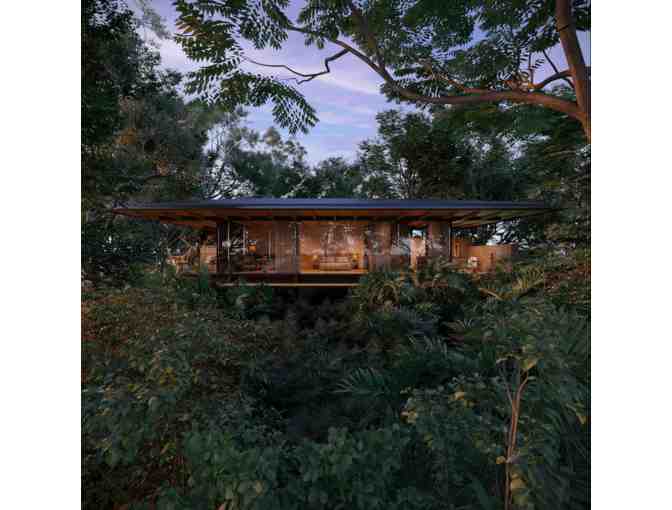 Costa Rica Rainforest Experience - Photo 1