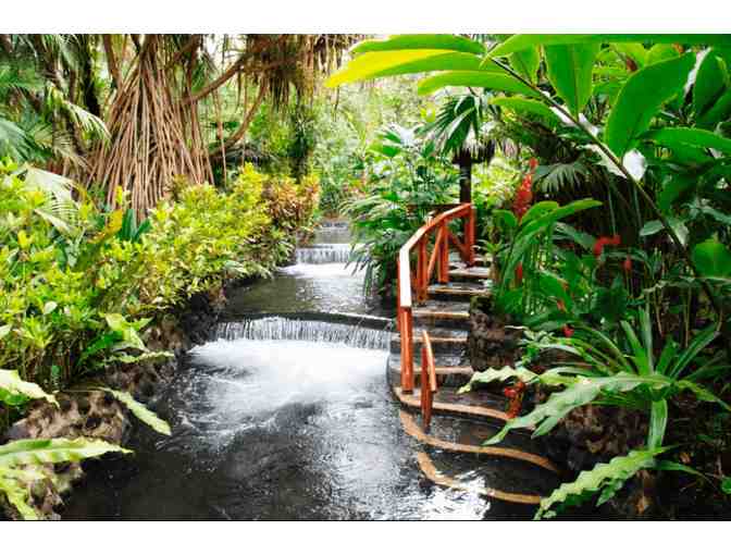 Costa Rica Rainforest Experience - Photo 6