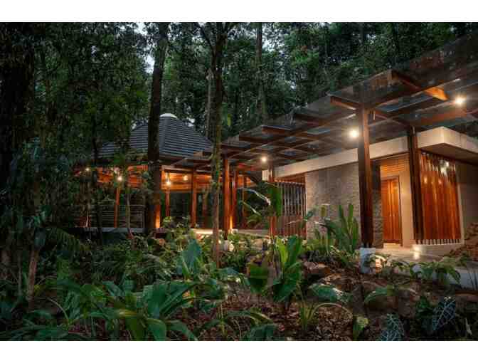 Costa Rica Rainforest Experience - Photo 7