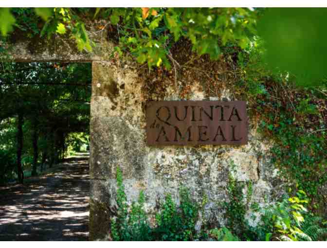 Portugal Wine & Gastronomy Experience - Photo 8