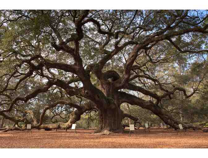 Savannah or Charleston + Food Tour - Photo 3