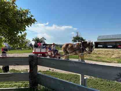 Our Heritage Guest Ranch Unique Vacations