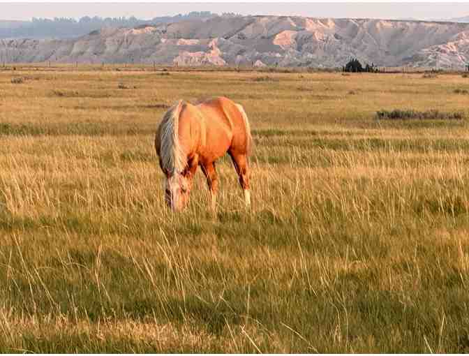 Our Heritage Guest Ranch Unique Vacations - Photo 3