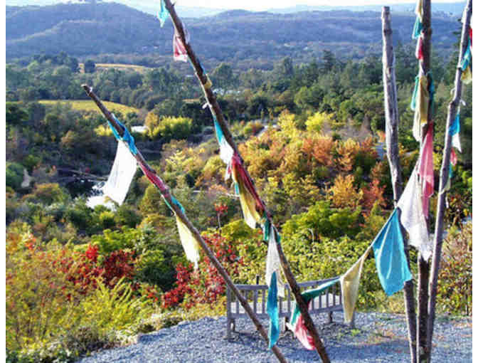 Botanical Garden Tour for 4 People at Quarryhill