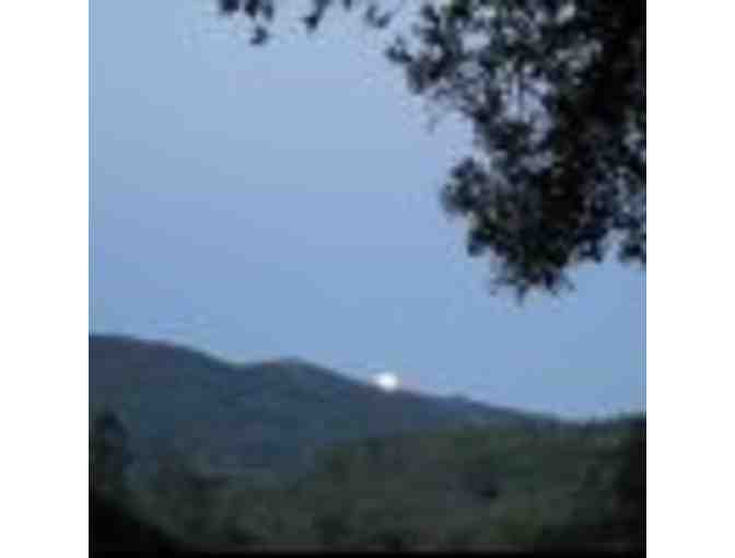 Botanical Garden Tour for 4 People at Quarryhill