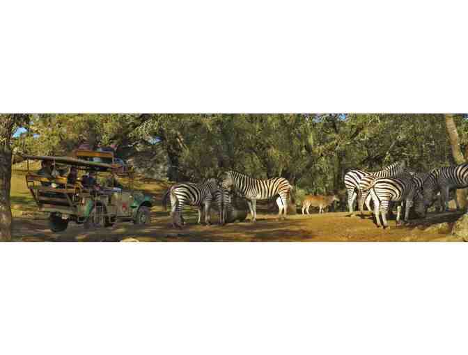 Adventure awaits at Safari West!  Enjoy this gift card