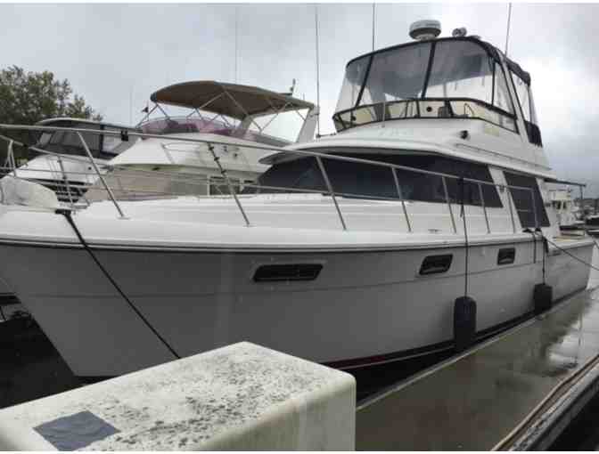 Fleet Week on the Bay