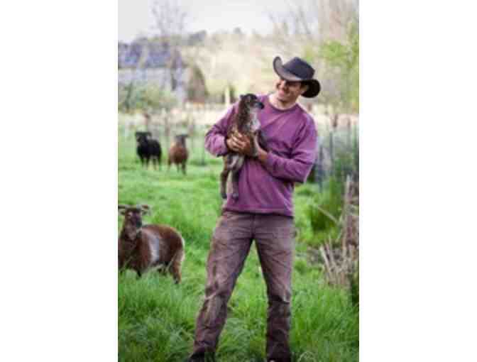 Four weekly CSA boxes of fresh, nutritious, locally grown produce from Singing Frogs Farm