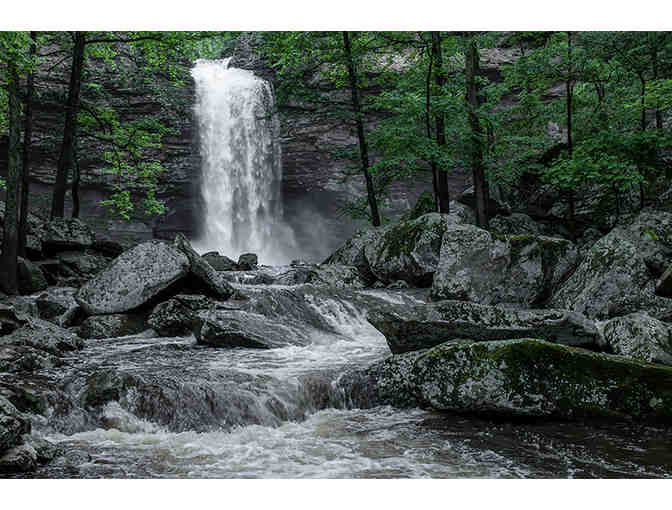 Arkansas Nature Print