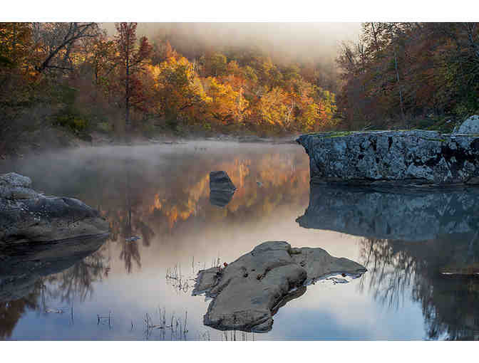 Arkansas Nature Print