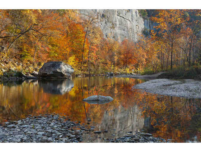 Arkansas Nature Print
