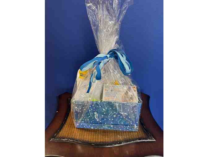 Cat Health Certificate - Gift Certificate from All Cats Clinic