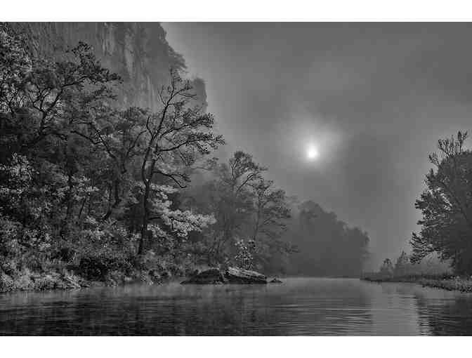 Arkansas Nature in Black and White