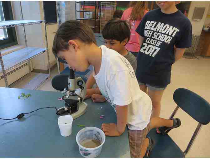 Belmont Summer Enrichment - two week session