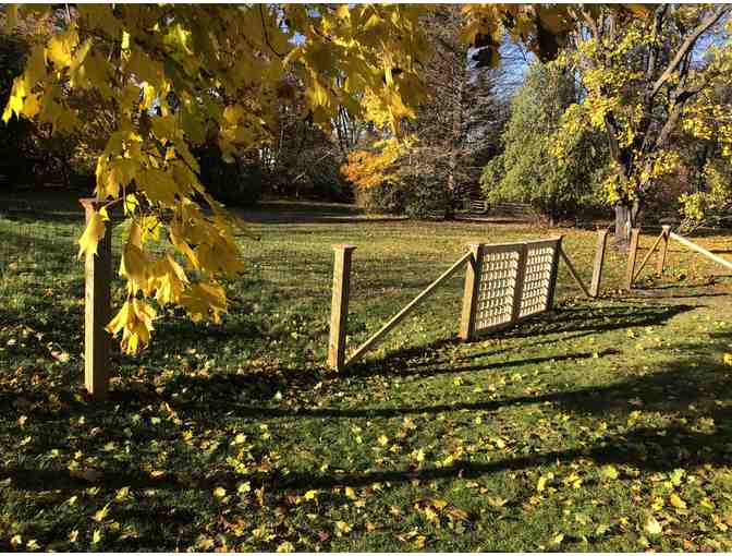 Landscape Architectural Consultation - Elizabeth Gourley Design