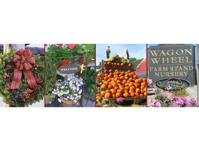 Wagon Wheel Farmstand and Nursery - $25 Gift Card plus homemade relish and jams