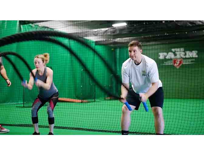 Champion PT and Performance - 4-week Unlimited Custom and Group Training