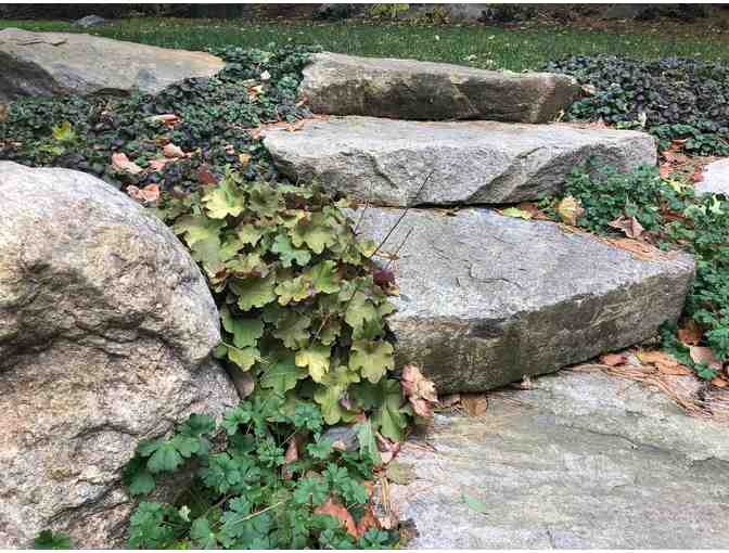 Landscape Architectural Consultation - Elizabeth Gourley Design