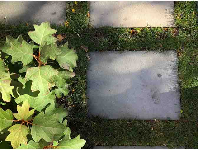 Landscape Architectural Consultation - Elizabeth Gourley Design