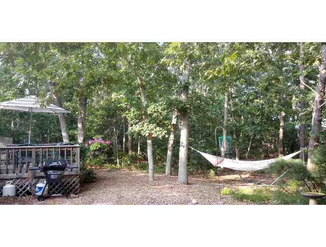 Drapeau Cape Cod House - North Eastham, MA