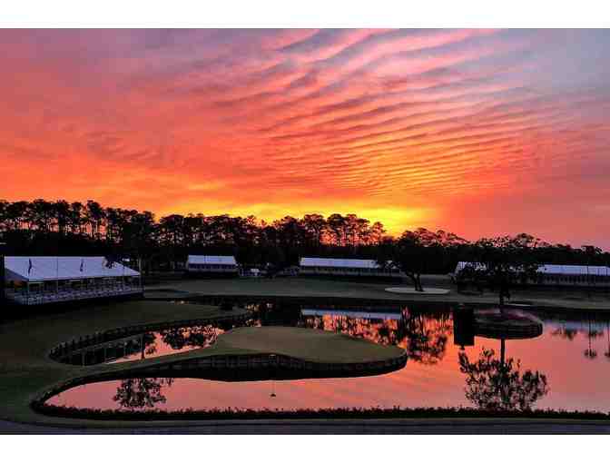 Tuesday- The PLAYERS Championship 2025 - Photo 1