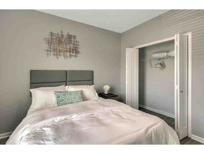 Weekend Getaway to Tampa, Florida