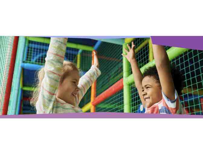 Family Admission to Insect Asylum + Etheria Cafe Gift Card