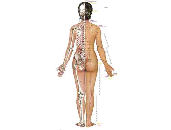 Acupuncture or Sports Massage and $100 to Cermak