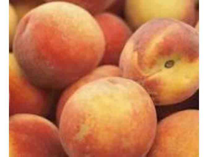 Four Passes to Belkin Lookout Farms