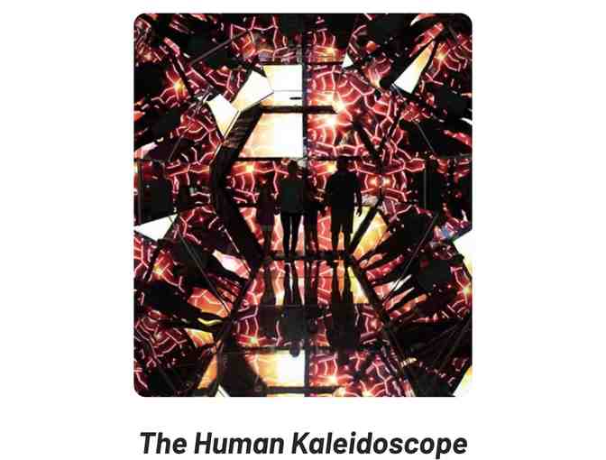 Beyond the Lens Family Fun!