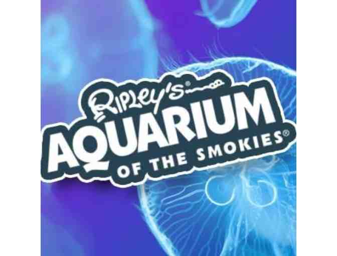 Ripley's Attraction Tickets for Four