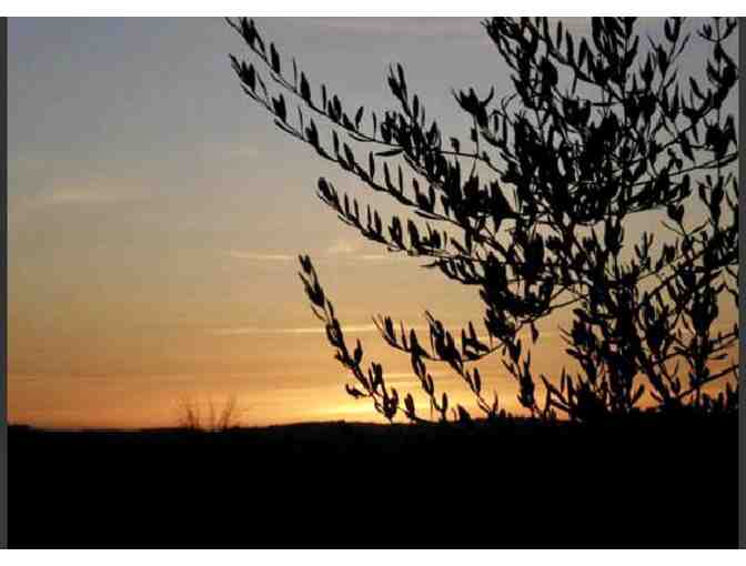 Making Memories Under the Tuscan Sun!