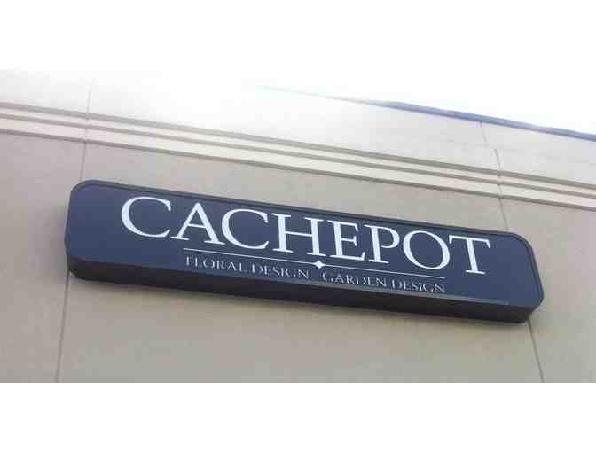 Cachepot Ornamental Orchid