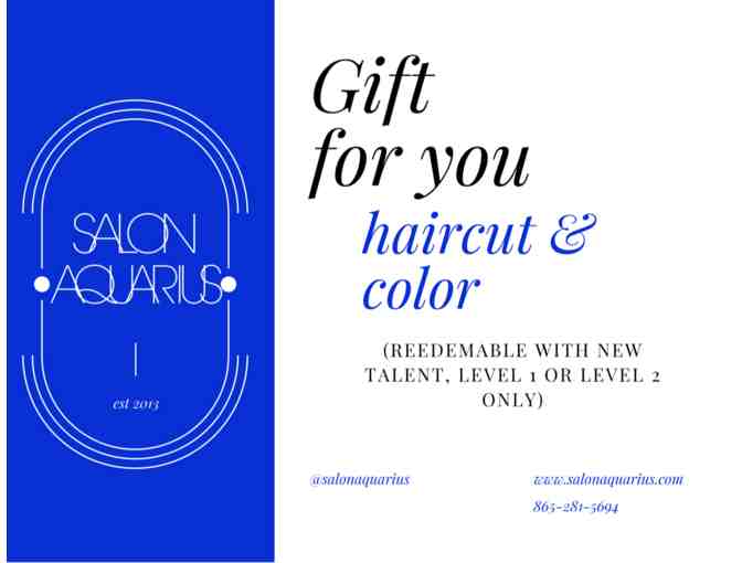 Salon Aquarius Cut and Color