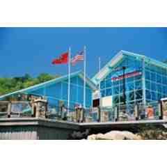 Ripley’s Aquarium (SA 2024)