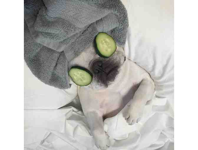 Seaside Grooming: Complete Spa Day for your Dog