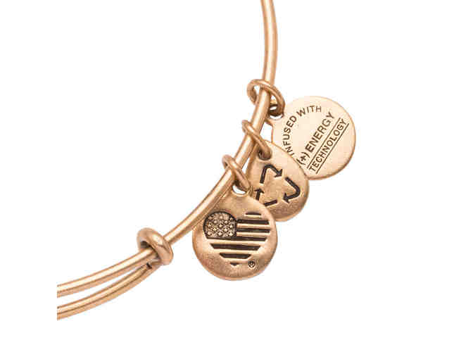 Star Wars Imperial Crest Bangle by Alex and Ani
