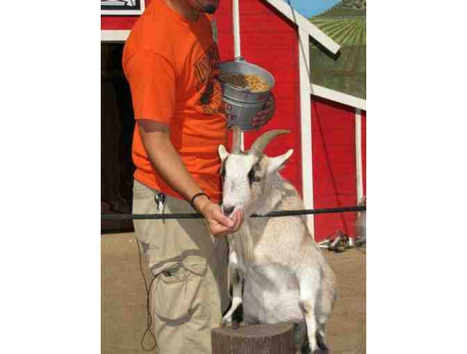 Underwood Family Farms: Family Season Pass