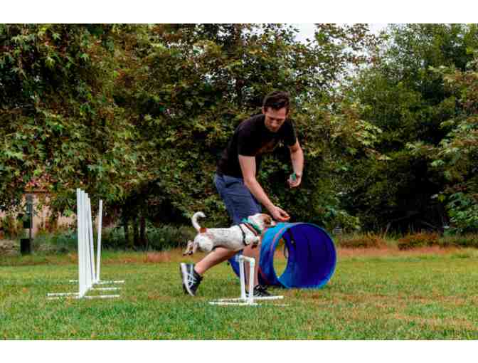 Joymode: Three Month Membership Plus $25 Credit