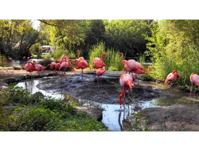 Sacramento Zoo: Family Pass, Four Admissions