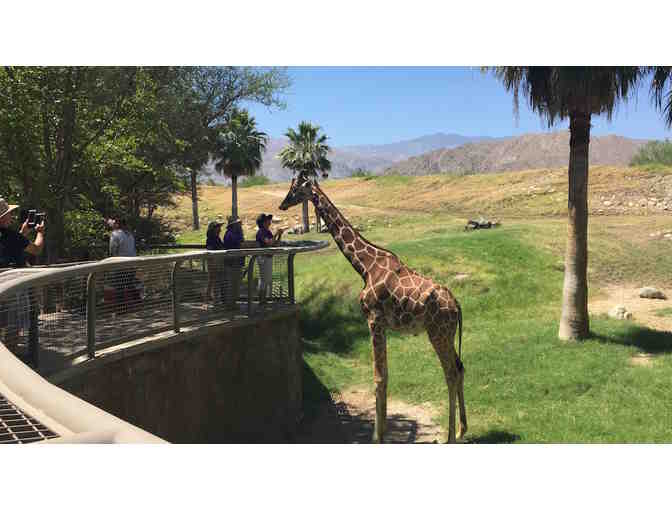 The Living Desert Zoo and Gardens: Family Four-Pack