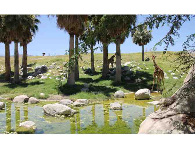 The Living Desert Zoo and Gardens: Family Four-Pack