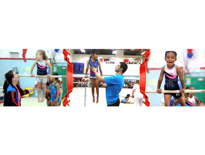 Los Angeles School of Gymnastics: Four Classes