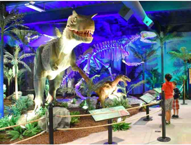 Discovery Cube: Four Admission Tickets