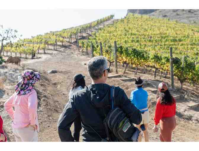 Malibu Wine Hikes: $98 e-Gift Card