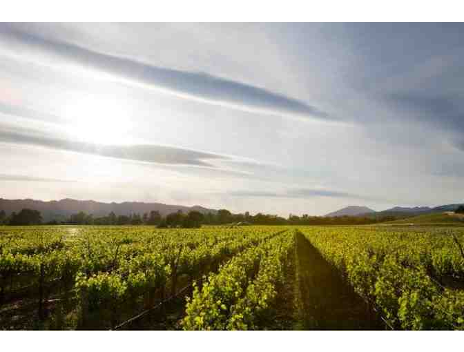 Honig Vineyard and Winery: Terrace Tasting for 4