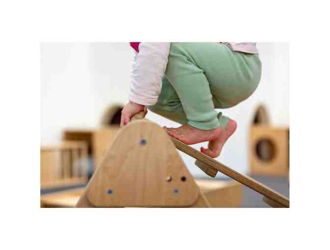 Wild Child Gym 4week Session Pass + Annual Membership Fee