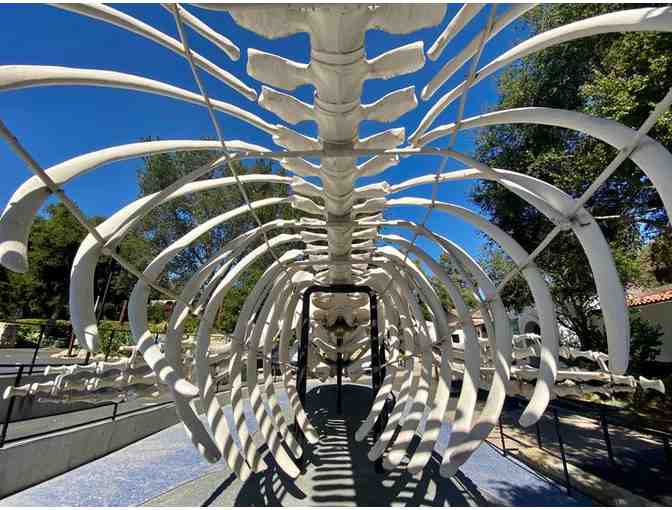 Santa Barbara Museum of Natural History or Sea Center: Four Guest Passes